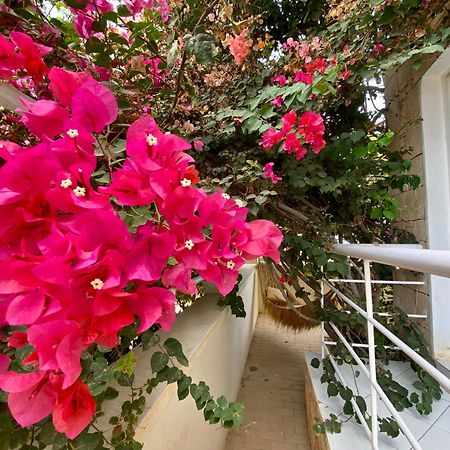 Terra Kriola Aparthotel ซาลเรย์ ภายนอก รูปภาพ