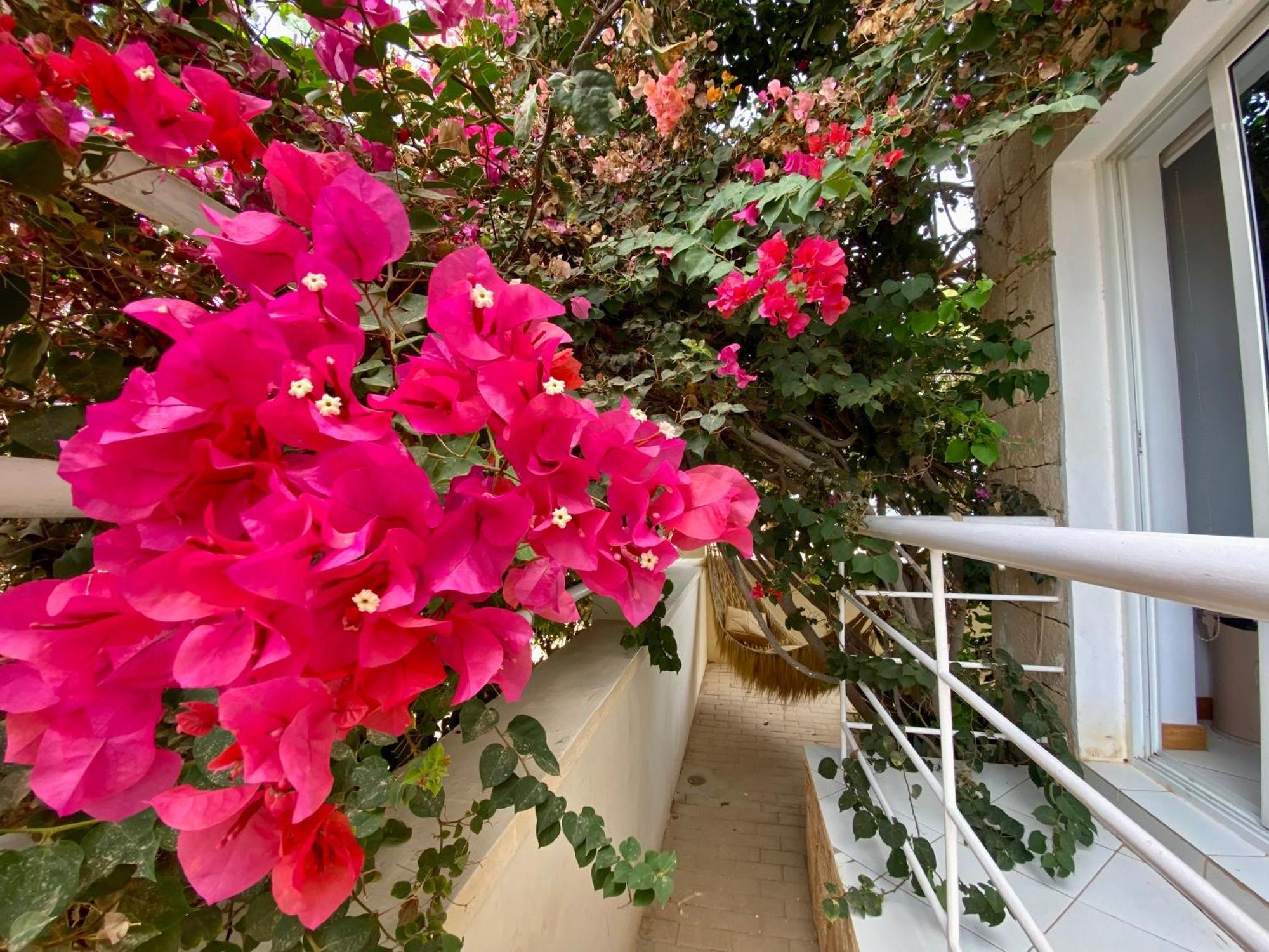 Terra Kriola Aparthotel ซาลเรย์ ภายนอก รูปภาพ